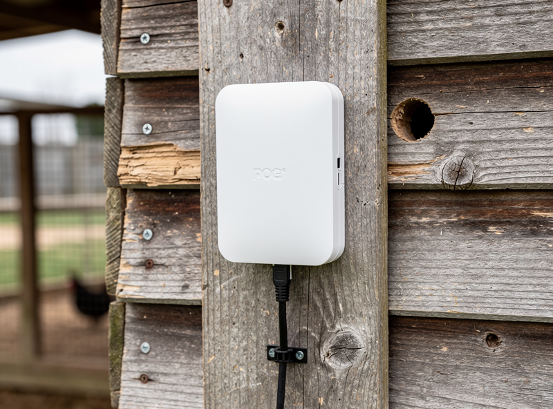 Outdoor PoE access point mounted on chicken coop exterior with Ethernet cable